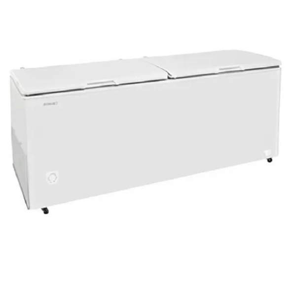 Producto - Freezer Dual Briket FR 550 BK5500A1 535LT