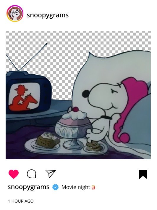 Producto - Ig de Snoopy