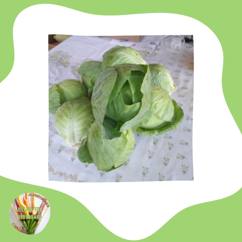 Producto - Repollo blanco - 1 unidad