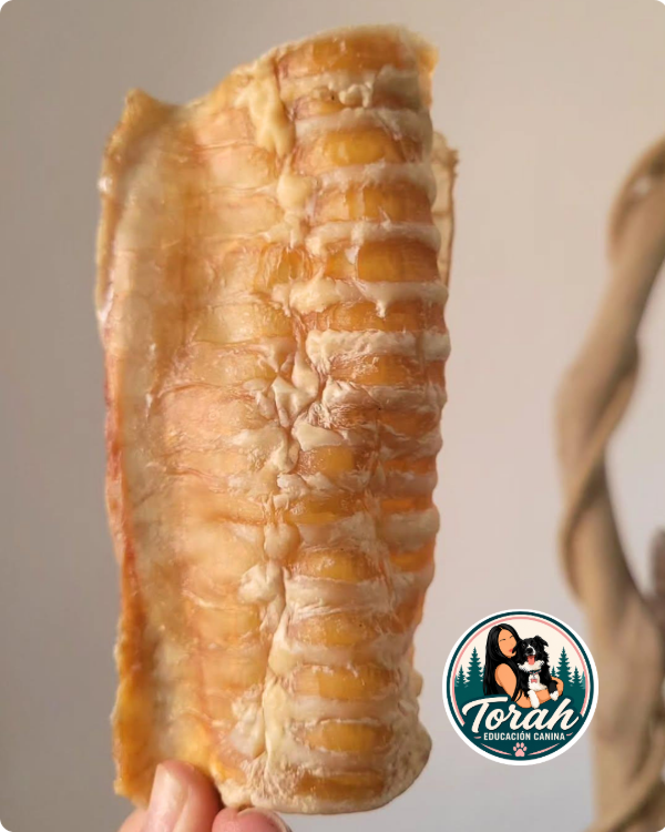 Producto - Traquea x60gr