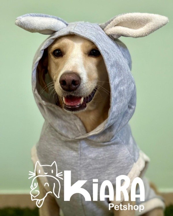 Producto - Conejito para Perros Medianos