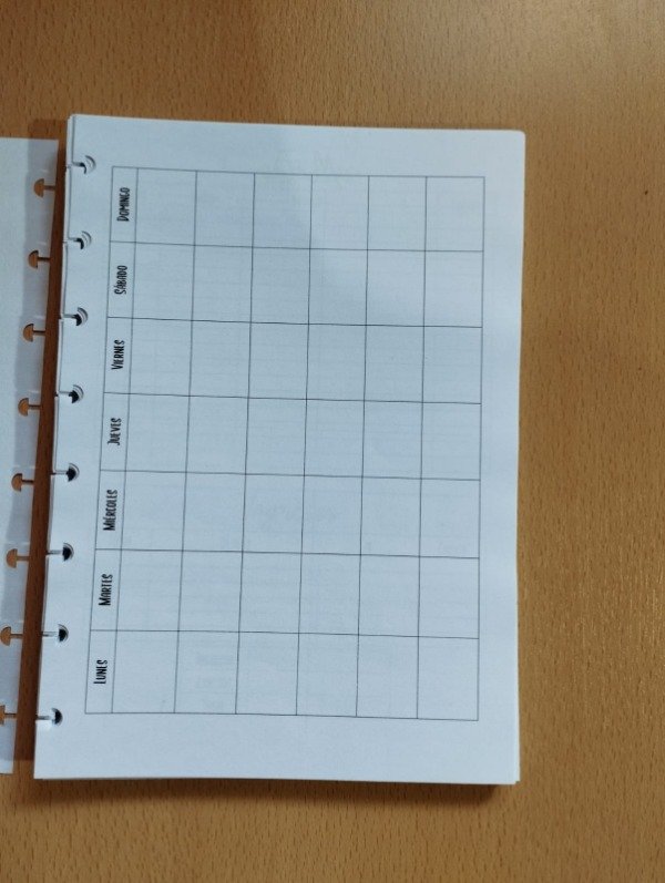 Producto - Repuesto trimestral agenda perpetua diaria