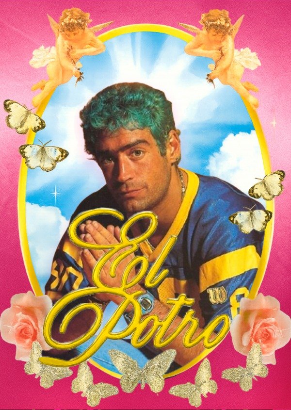 Producto - El Potro cutie