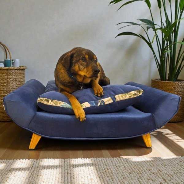 Producto - Cama Amigui