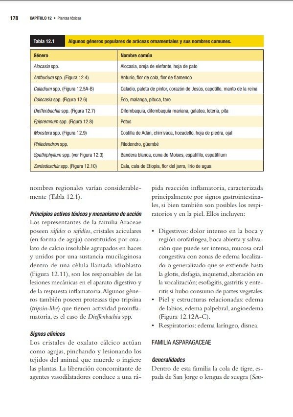 Producto - Zeinsteger: Abordaje Terapéutico de las Intoxicaciones en Pequeños Animales - 5