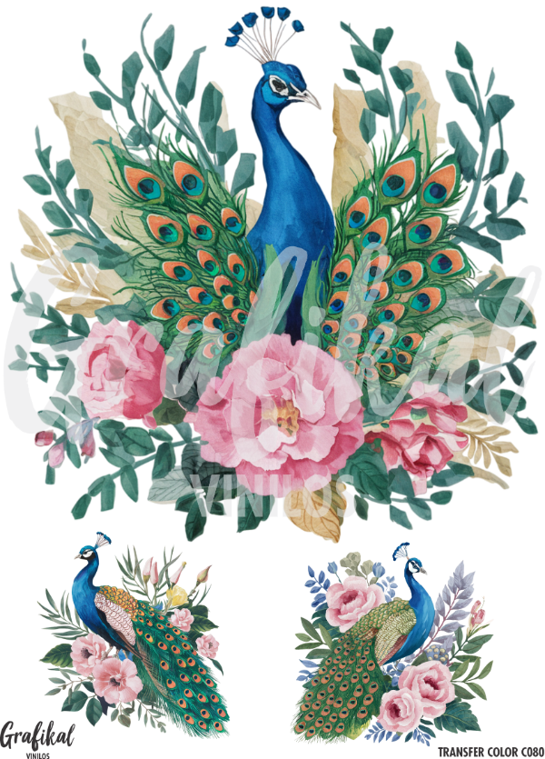 Producto - TransferColor 15x20 080