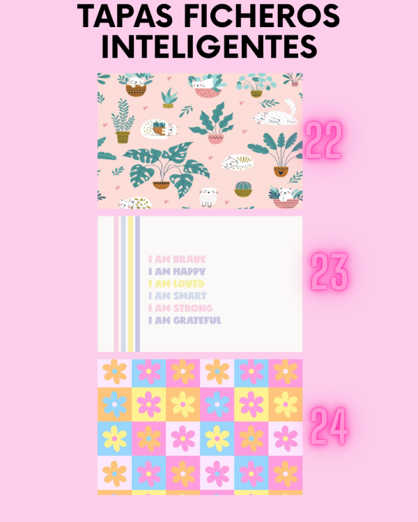 Producto - FICHERO INTELIGENTE N3 13x20 - 10
