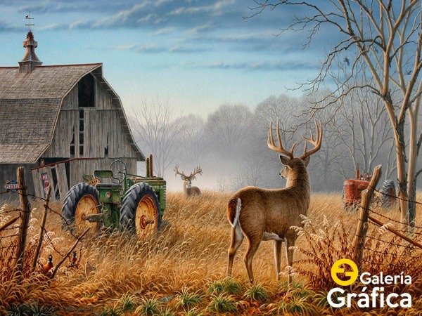 Producto - Paisaje FS 11