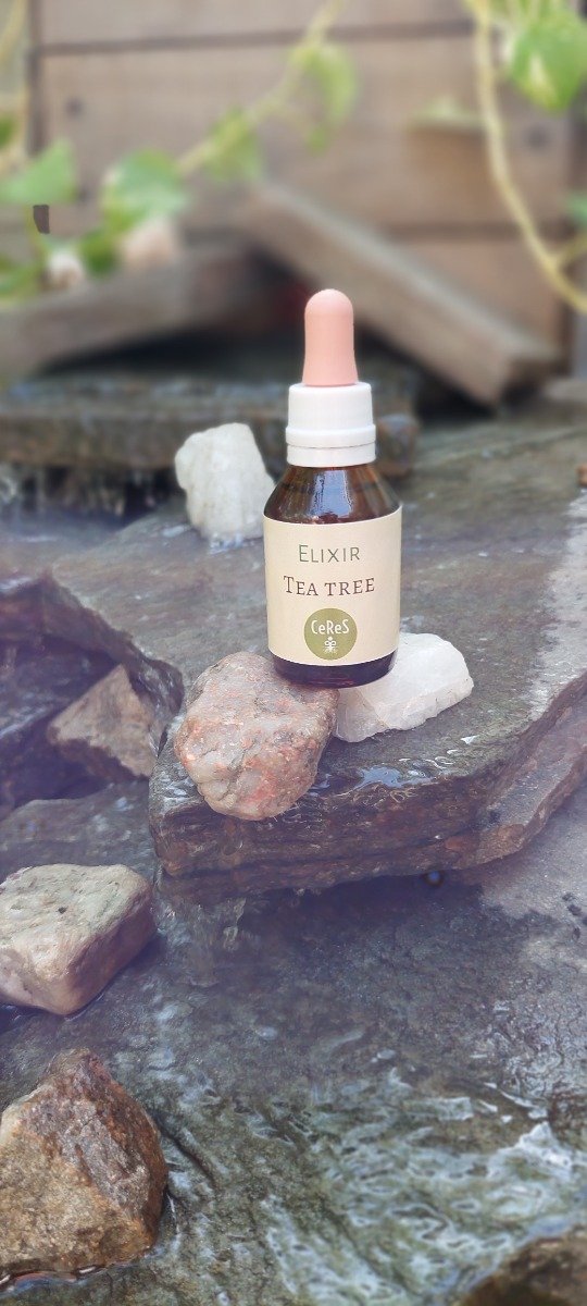 Producto - Elixir Tea Tree 20 ml