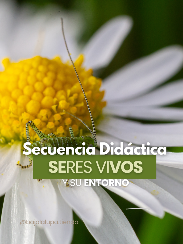 Producto - Secuencia didáctica Seres vivos y su entorno 2