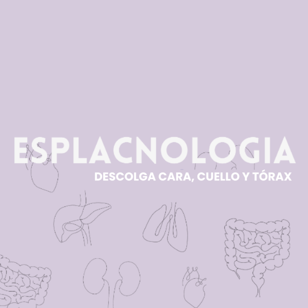 Producto - DESCOLGA CARA, CUELLO Y TÓRAX