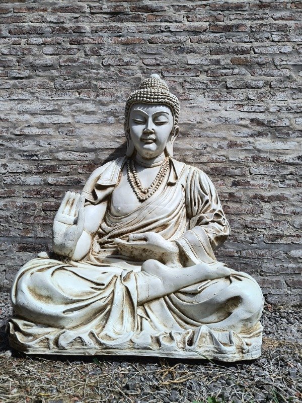 Producto - BUDA TITAN