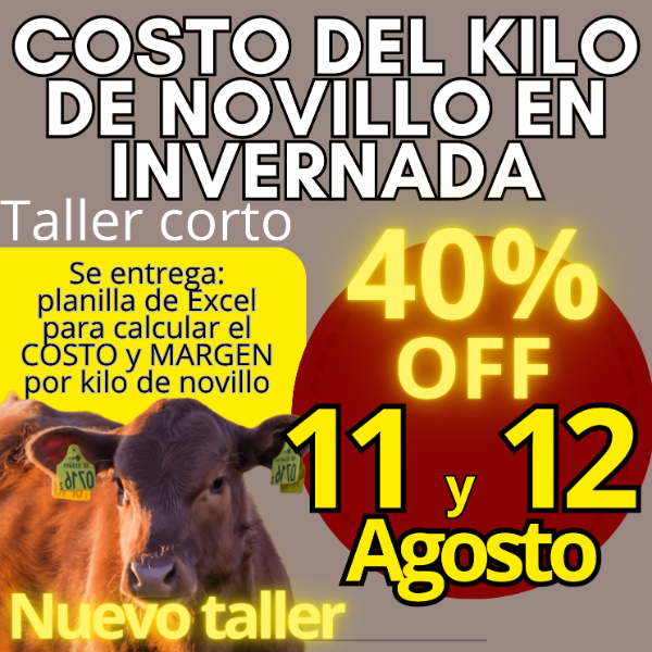 Producto - Taller corto: cálculo del costo del kilo de novillo - 0