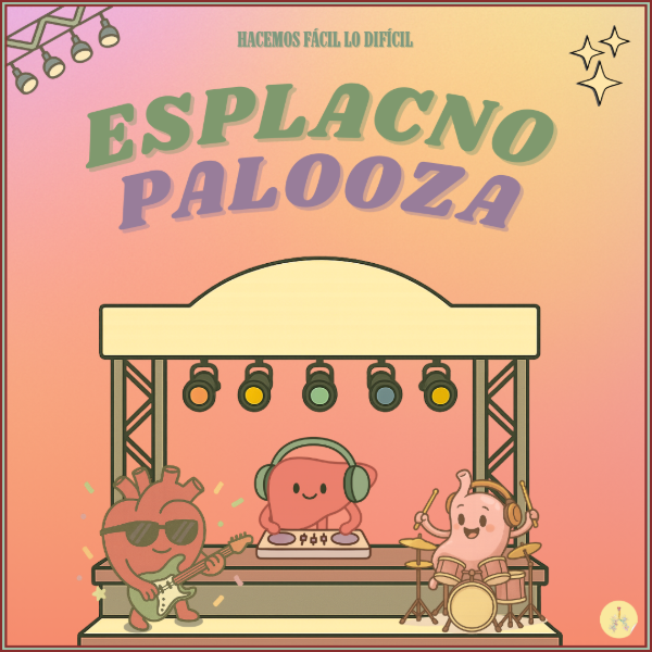 Producto - Clases Integradoras Esplacno