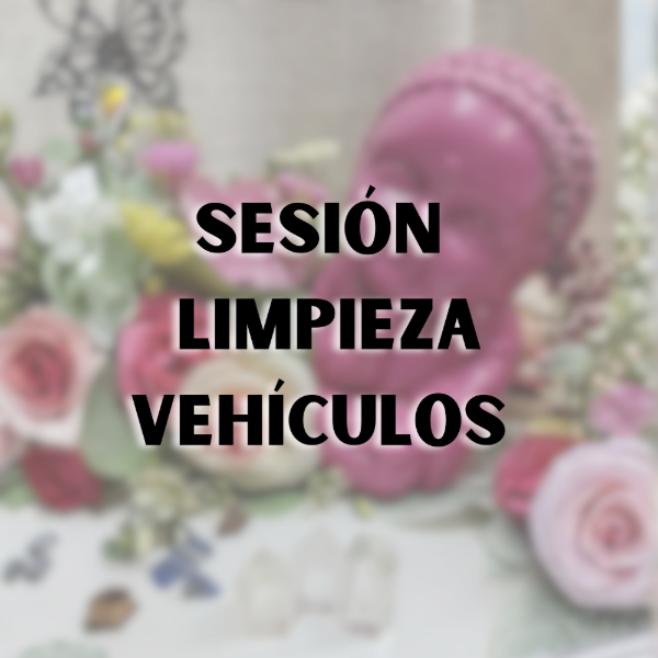 Producto - SESION LIMPIEZA VEHÍCULOS