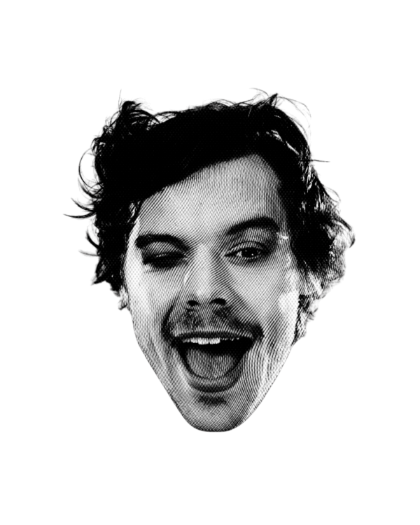 Producto - HARRY STYLES - BABY TEE