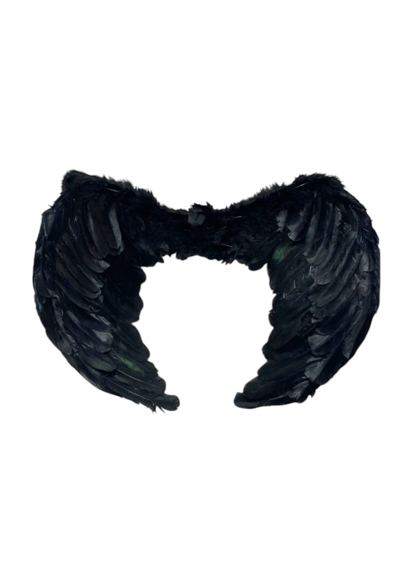 Producto - Alas Angel