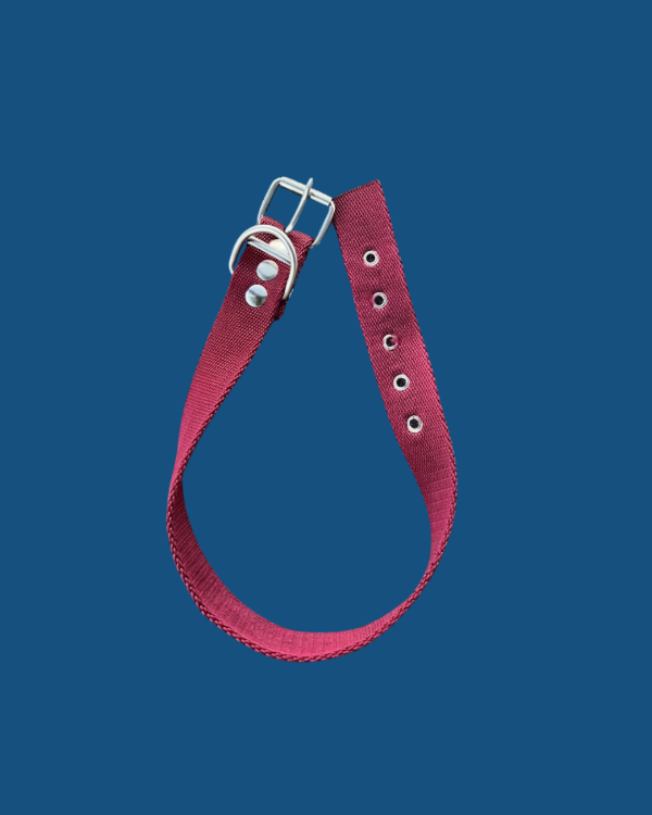 Producto - Collar Nylon Talle 4