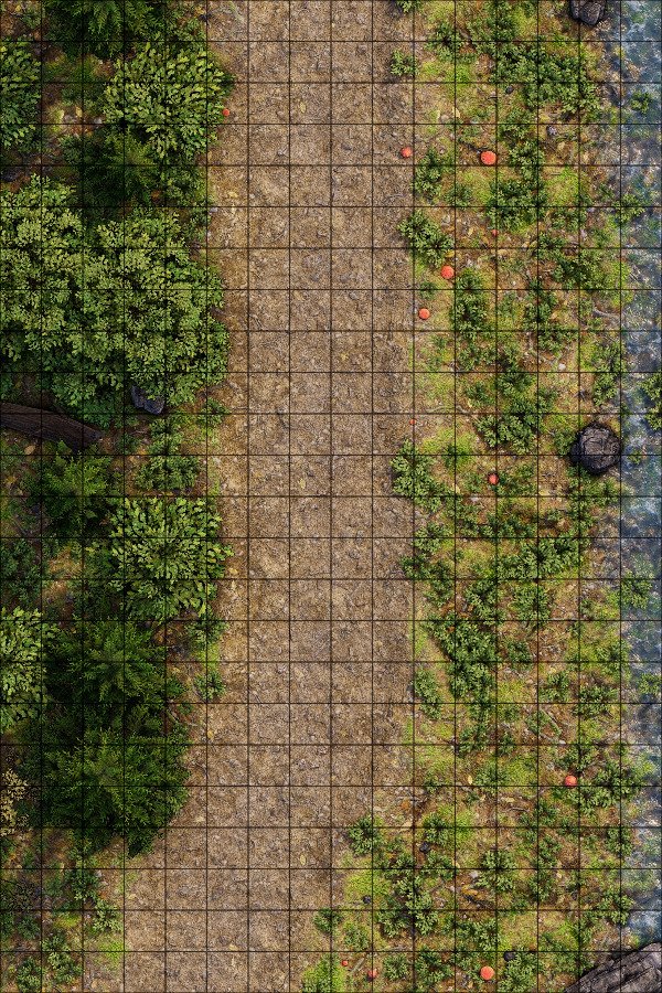 Producto - Camino en el bosque 5 L