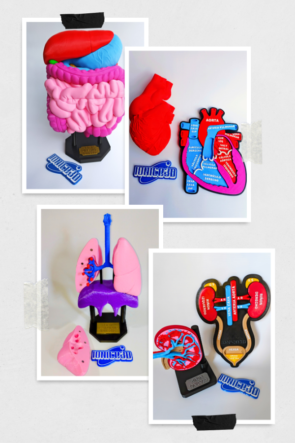 Producto - COMBO SISTEMAS DE NUTRICIÓN