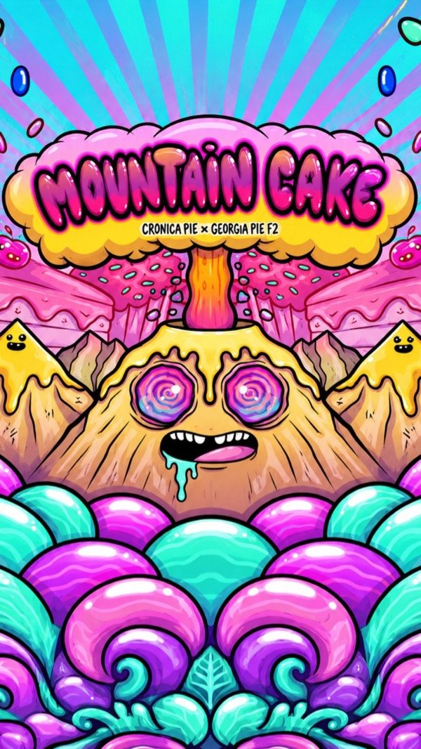 Producto - MOUNTAIN CAKE (3 unidades) - 0