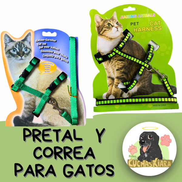 Producto - Pretal para Gatos