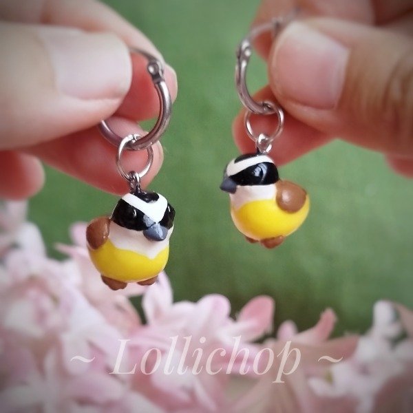 Producto - Aros Benteveo