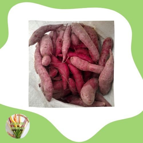 Producto - Batata remolacha -1Kg