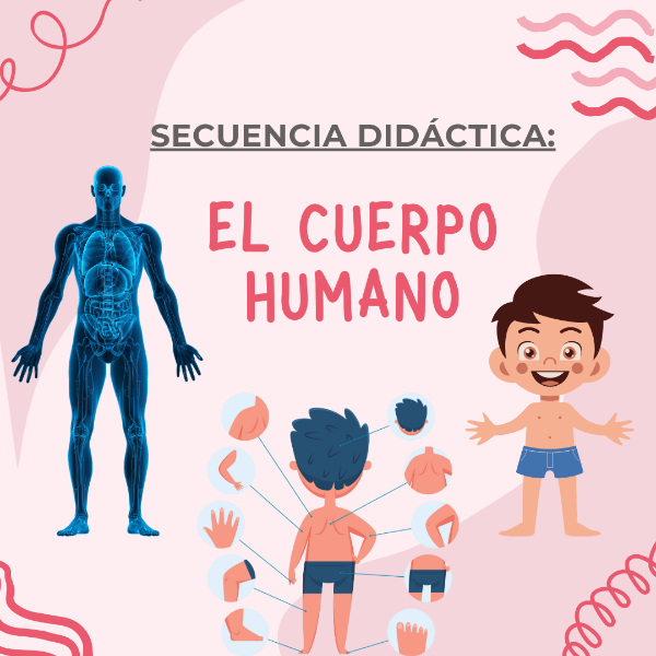 Producto - Secuencia Didáctica: El cuerpo humano - DC 2023