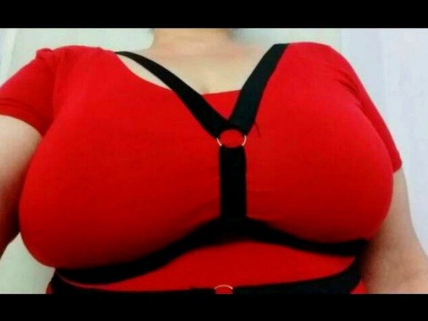 Producto - Arnes Vicky