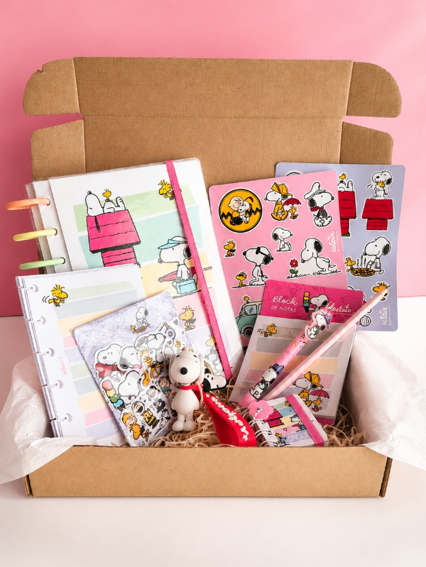 Producto - Reserva - Box Snoopy Pastel - Cuaderno discos - 0
