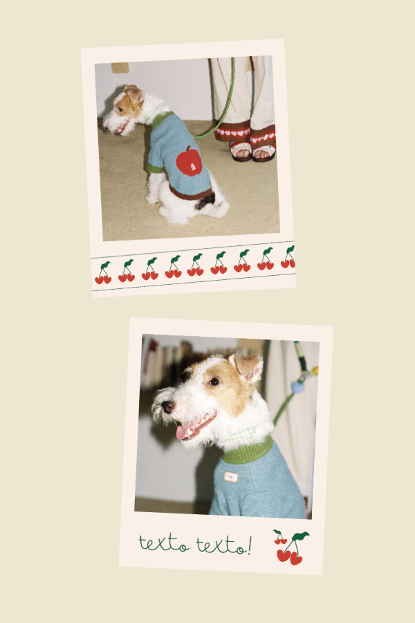 Producto - pack 14 polaroids [cherry]