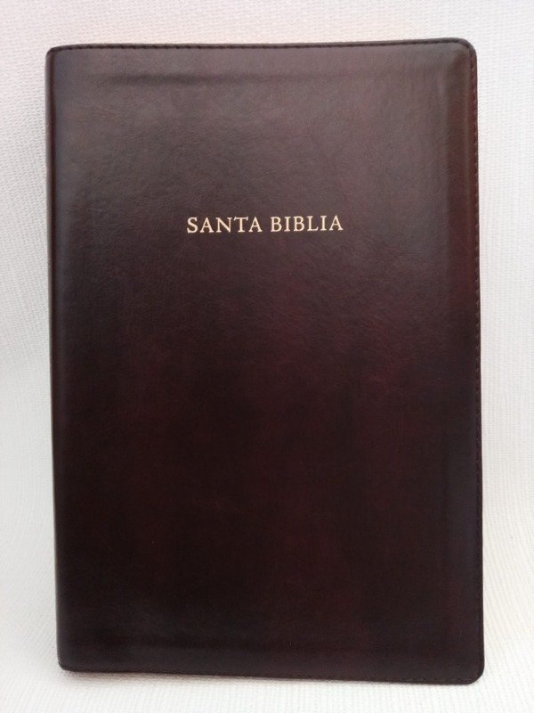 Producto - Biblia De Estudio Scofield Tapa Blanda
