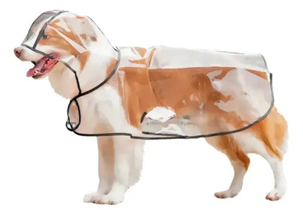 Producto - Pilotos para Lluvia Impermeable con Broche
