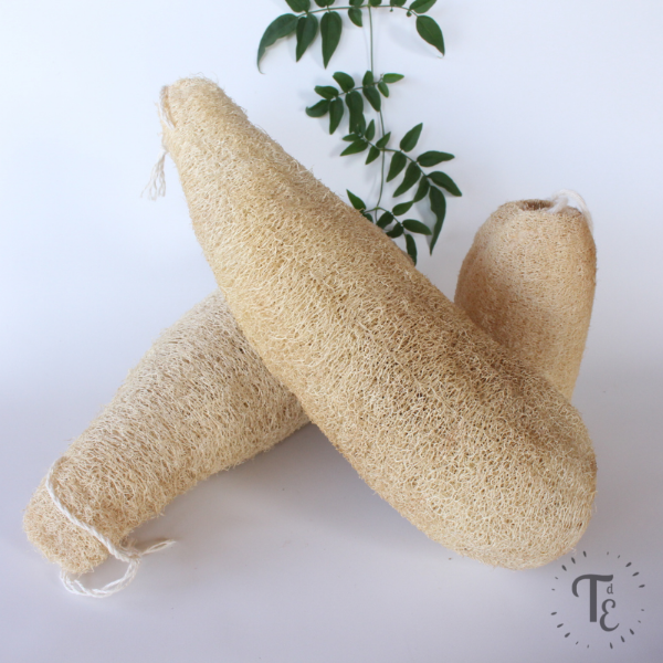 Producto - Esponja vegetal grande (luffa)
