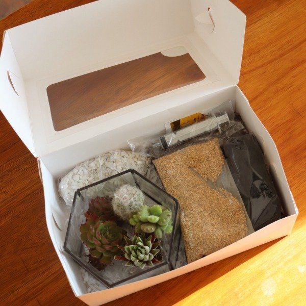 Producto - BOX HEXAGONO