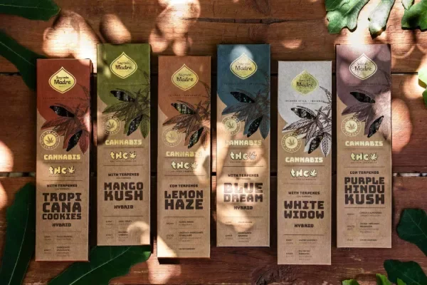 Producto - BULTO SAHUMERIO CANNABIS X90