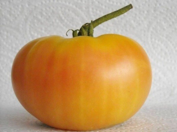 Producto - TOMATE DAGMA'S PERFECTION
