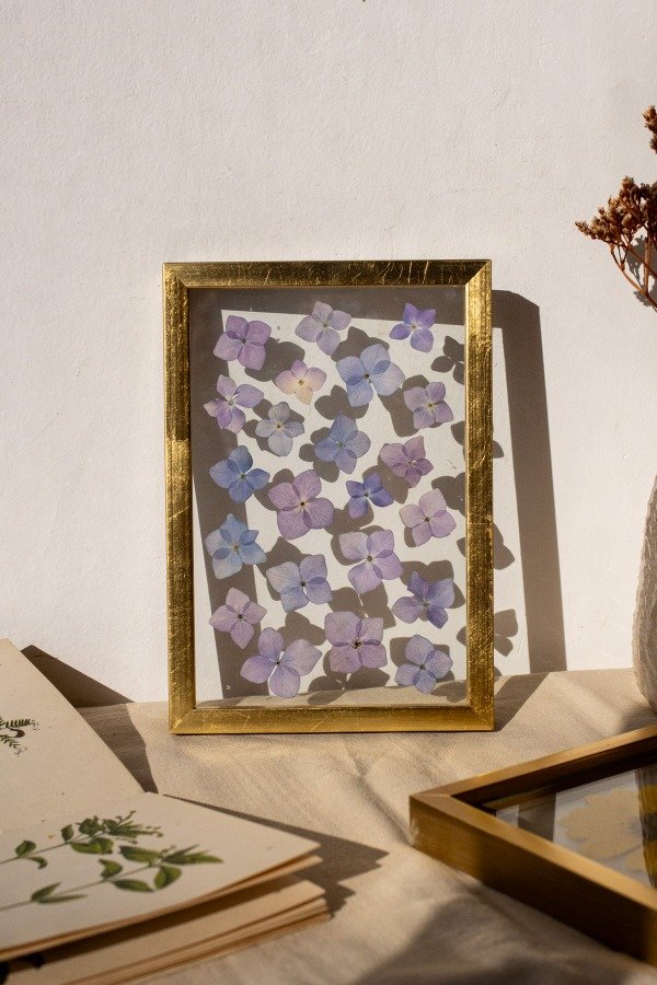 Producto - Hortensias