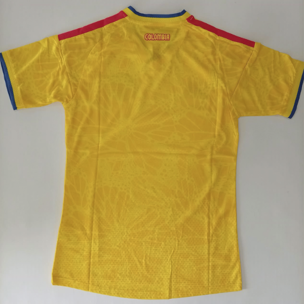 Producto - CAMISETA COLOMBIA (PERSONALIZABLE) - 2