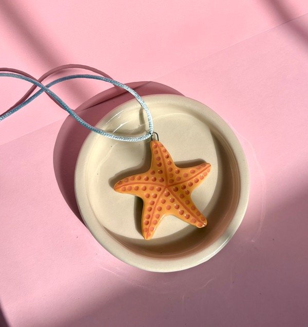 Producto - Estrella de Mar Naranja BIFAS Celeste