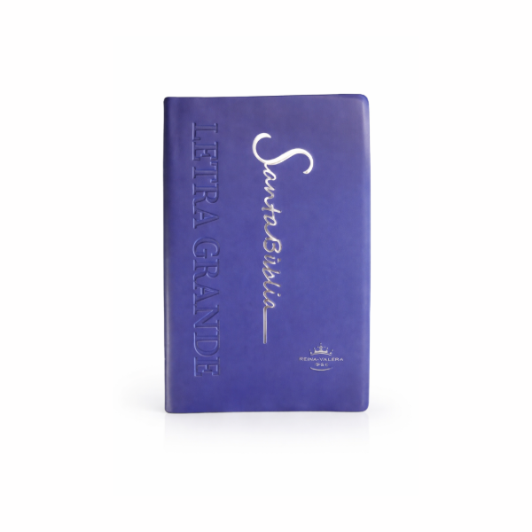 Producto - BIBLIA RVR062 CONC L 11P 14X21 PU  PURPURA
