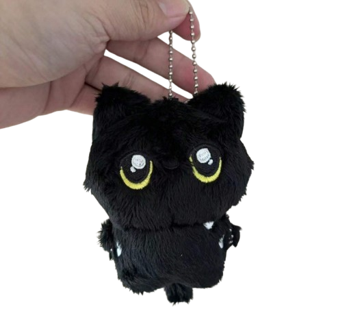 Producto - Llavero Enhypen Jay