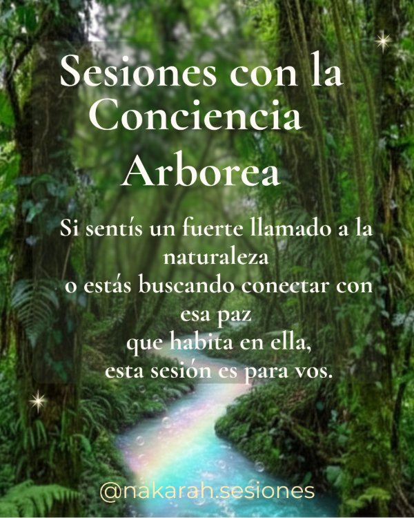 Producto - Sesiones con la Energía Arborea