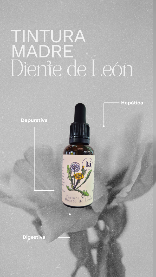 Producto - Tintura madre de diente de león.