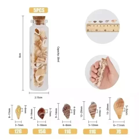 Producto - Set de 5 frascos con diferentes caracoles - 8