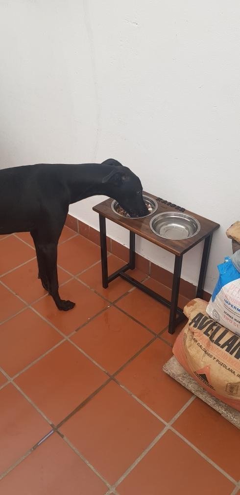 Producto - Comedero En Altura Doble Talle XXL