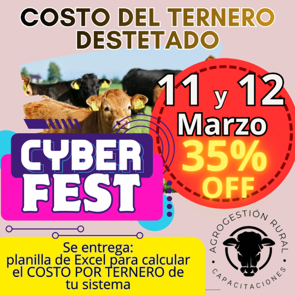 Producto - Taller Online: Costo del Ternero