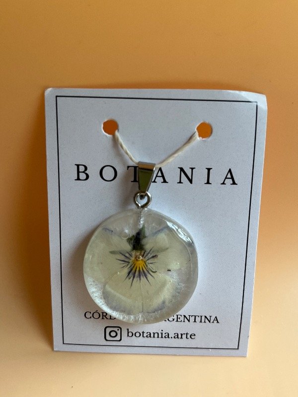 Producto - Pensamiento 2