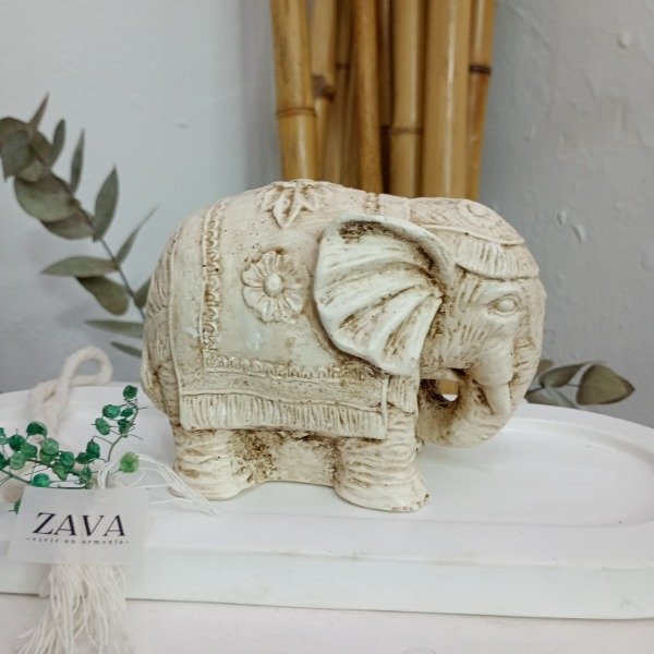 Producto - Elefante longevidad